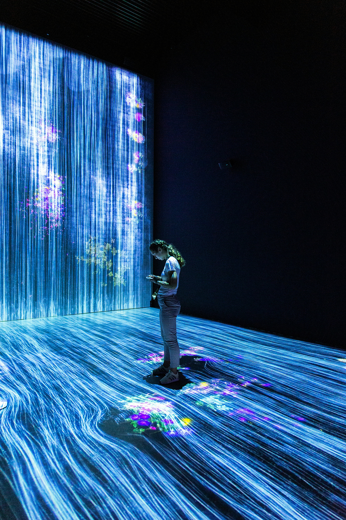 For NGOs and Public Sector